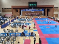 고성군, 제34회 경남협회장기 태권도 대회 개최 | 뉴스로