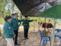 최우홍 홍천부군수, 집중안전점검 물놀이 대상 시설 점검 | 뉴스로