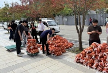 전남도, 양파 수급안정 위해 전 직원 발벗고 나서 | 뉴스로