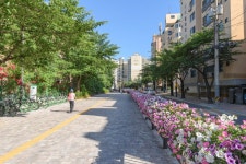 양천구, 20년 지난 “신월동 걷고 싶은 거리” 보행자 중심 명품거리로 새단장 | 뉴스로