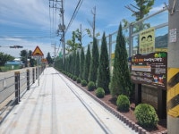 예산군, 대흥중·고등학교 ‘자녀안심 그린숲’ 조성 완료 | 뉴스로