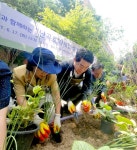 관악구, 자투리 공간을 힐링 스폿으로! 주민과 함께 ‘난곡로 사계절 생생정원’ 완성 | 뉴스로