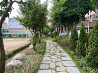 안양시, 대안여중・안양서초에 ‘학교숲’ 조성 | 뉴스로