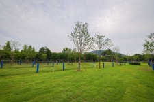 서초구, 청계산 수변공원에 파크골프장 조성 | 뉴스로