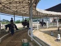 홍성군승마장, 충남인재개발원 승마과정 성료 | 뉴스로