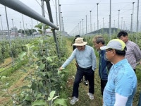 김포시, 2025년 사과 재배 현장컨설팅 교육 성료 | 뉴스로