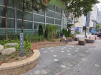 용인특례시, 처인구 명지대사거리 완충녹지 개선 완료 | 뉴스로