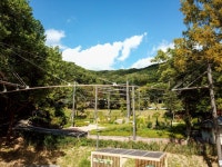 천안 태학산자연휴양림·태조산 산림레포츠단지 이용 편의성 향상 | 뉴스로