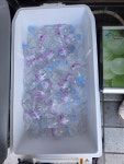 영천시, 영천공설시장 주변 버스 승강장에 생수·얼음 비치 | 뉴스로