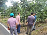 장수군, 고품질 사과 생산 위한 과수원 현장행정 | 뉴스로