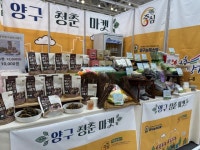 양구군, 팔도밥상페어 2025 참가…농특산물 판로 확대 호응 | 뉴스로