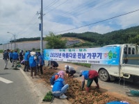 영암 미암면농촌지도자회, 아름다운 소국꽃길 가꿔 | 뉴스로