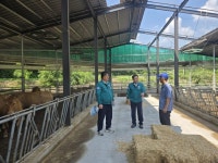이동률 합천군 농업기술센터 소장 폭염 관리에 총력 | 뉴스로