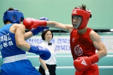예천군, 2025 예천석송령배 경북생활체육 복싱대회 개최 | 뉴스로
