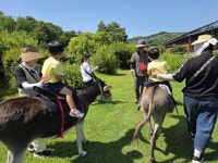 이천시, 해누리어린이집 연계 동키스타즈 치유프로그램 추진 | 뉴스로