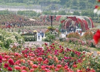 치즈테마파크, 사계절 축제의 장으로 | 뉴스로