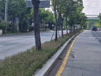 수원시, 도심 속 꽃길·녹지공간 조성했다 | 뉴스로