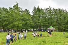 정선군, 2025 정선함백산야생화축제 7월 25일 개막 | 뉴스로