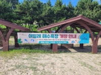 자월면, 피서철 맞이 장골·이일레해수욕장 개장 | 뉴스로