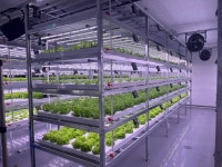 과천시, 갈현동에 스마트팜 연계 ‘공영도시농업농장’ 조성…‘포렛팜’과 업무협약 체결 | 뉴스로