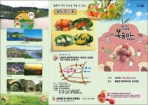 뉴스로 - 지자체가 보인다! - 제20회 순천명품 월등복숭아 체험행사 개최 제20회 순천명품 월등복숭아 체험행사 개최