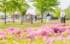 구미시, 파크골프장 편의시설 개선에 추경예산 4억 투입 | 뉴스로