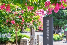 고려동 유적지, 붉게 핀 배롱나무와 어우러진 고즈넉한 풍경 | 뉴스로