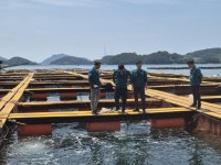 고수온 피해 대응에 행정력 집중 | 뉴스로