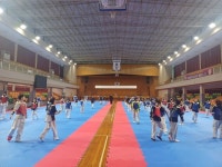 스포츠로 활짝핀 고성! 2025 상반기 대회 눈부셔 | 뉴스로