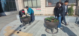 뉴스로 - 지자체가 보인다! - 벽진면, 새봄 맞아 면소재지 일원에 봄꽃 식재 벽진면, 새봄 맞아 면소재지 일원에 봄꽃 식재