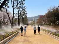 뉴스로 - 지자체가 보인다! - 김해시, 연지·율하천 공원 꽃잔치 이어간다 김해시, 연지·율하천 공원 꽃잔치 이어간다