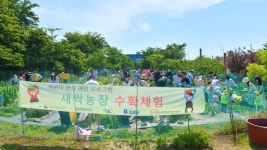 뉴스로 - 지자체가 보인다! - 속초시, 해양레저스포츠 체험교실 5월부터 운영 속초시, 해양레저스포츠 체험교실 5월부터 운영