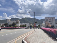 - 경산시, 도심에 여름을 피우다 경산역~경산오거리 꽃 경관 조성 경산시, 도심에 여름을 피우다 경산역~경산오거리 꽃 경관 조성