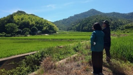 뉴스로 - 지자체가 보인다! - 거제 30인의 아빠단, 꿀벌농장 체험 진행 거제 30인의 아빠단, 꿀벌농장 체험 진행