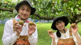 種から植えるTV【冷凍用ほうれん草150袋分収穫】(テレビ東京、2022/4/17 11:55 OA)の番組情報ページ | テレビ東京・ＢＳテレ東 7ch(公式)