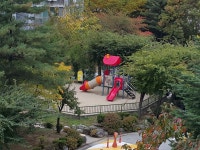 피터팬의 좋은방 구하기 급매/수리된 깨끗한집/치악초등학교 바로앞/포스코 중앙공원 수혜지역교통편리