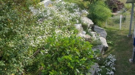 피터팬의 좋은방 구하기 춘천 정성가득 전원주택!