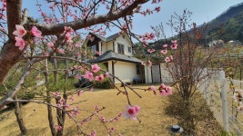 피터팬의 좋은방 구하기 춘천 정성가득 전원주택!