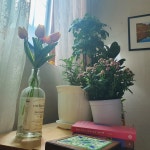피터팬의 좋은방 구하기 서울대입구역 도보 7분 /쑥고개로 대로변/ 분리형 1.5룸