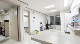 피터팬의 좋은방 구하기 주안 쓰리룸 전세, 깔끔하고 테라스까지