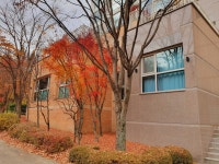 피터팬의 좋은방 구하기 서판교 운중동/단독같은 아파트/층간소음no/월세가능