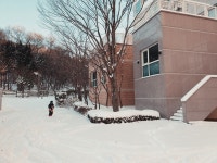 피터팬의 좋은방 구하기 서판교 운중동/단독같은 아파트/층간소음no/월세가능