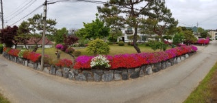 피터팬의 좋은방 구하기 경강선 신둔도예촌역 도보 13분(분당선 이매역 24분소요)