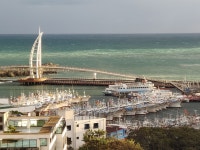 피터팬의 좋은방 구하기 새연교.천지연인근