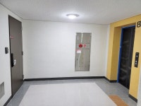 피터팬의 좋은방 구하기 광안대교뷰! 방3개 거실 1 화장실 2 구조 잘빠진 전세집!!//월세가능