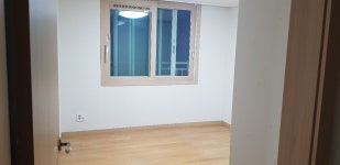 피터팬의 좋은방 구하기 강릉유천택지