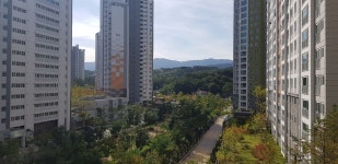 피터팬의 좋은방 구하기 강릉유천택지