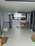 피터팬의 좋은방 구하기 ◈ 부평시장역 특급전세매물 ◈