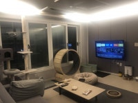 피터팬의 좋은방 구하기 효성동 신축급 3룸 전세, 내부 컨디션 최상