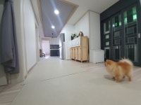 피터팬의 좋은방 구하기 💛막힘없는 뷰 초등학교 도보3분 간석오거리역 역세권!!💛